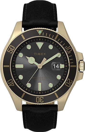 Timex Harborside Coast Mens Watch TW2V42200